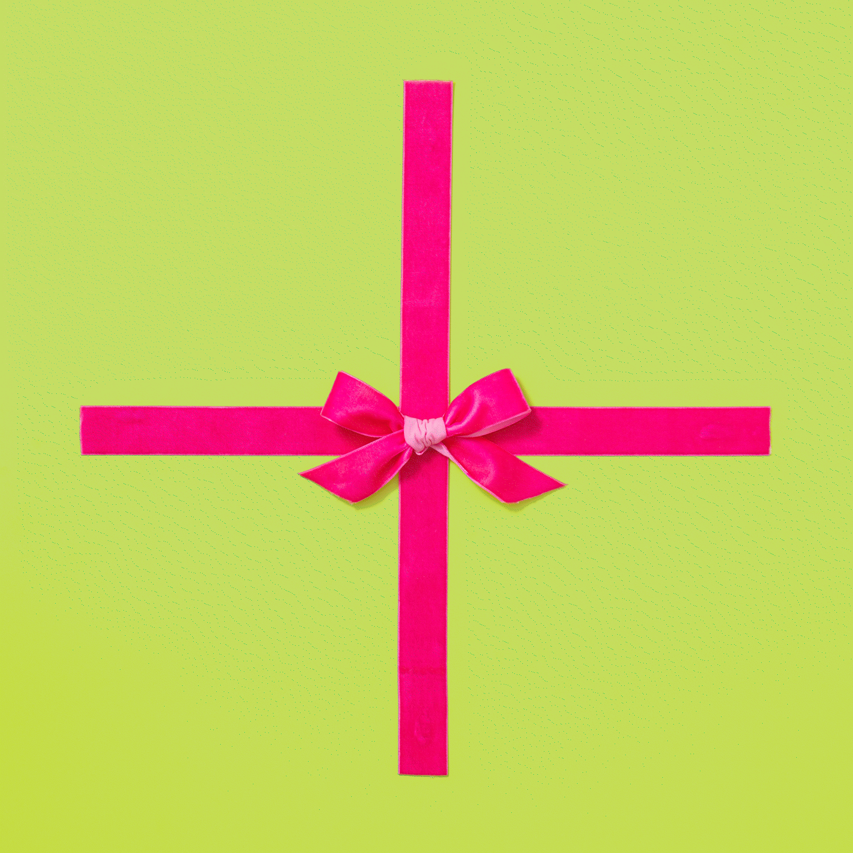 BryPhotoBayAreaStopMotionPhotographer_129.gif