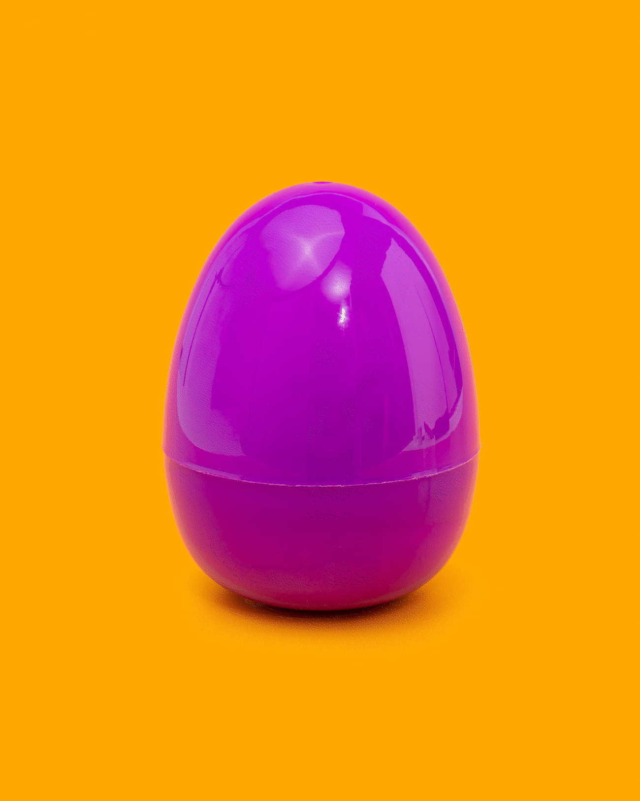 BryPhotoBayAreaStopMotionPhotographer_132.gif
