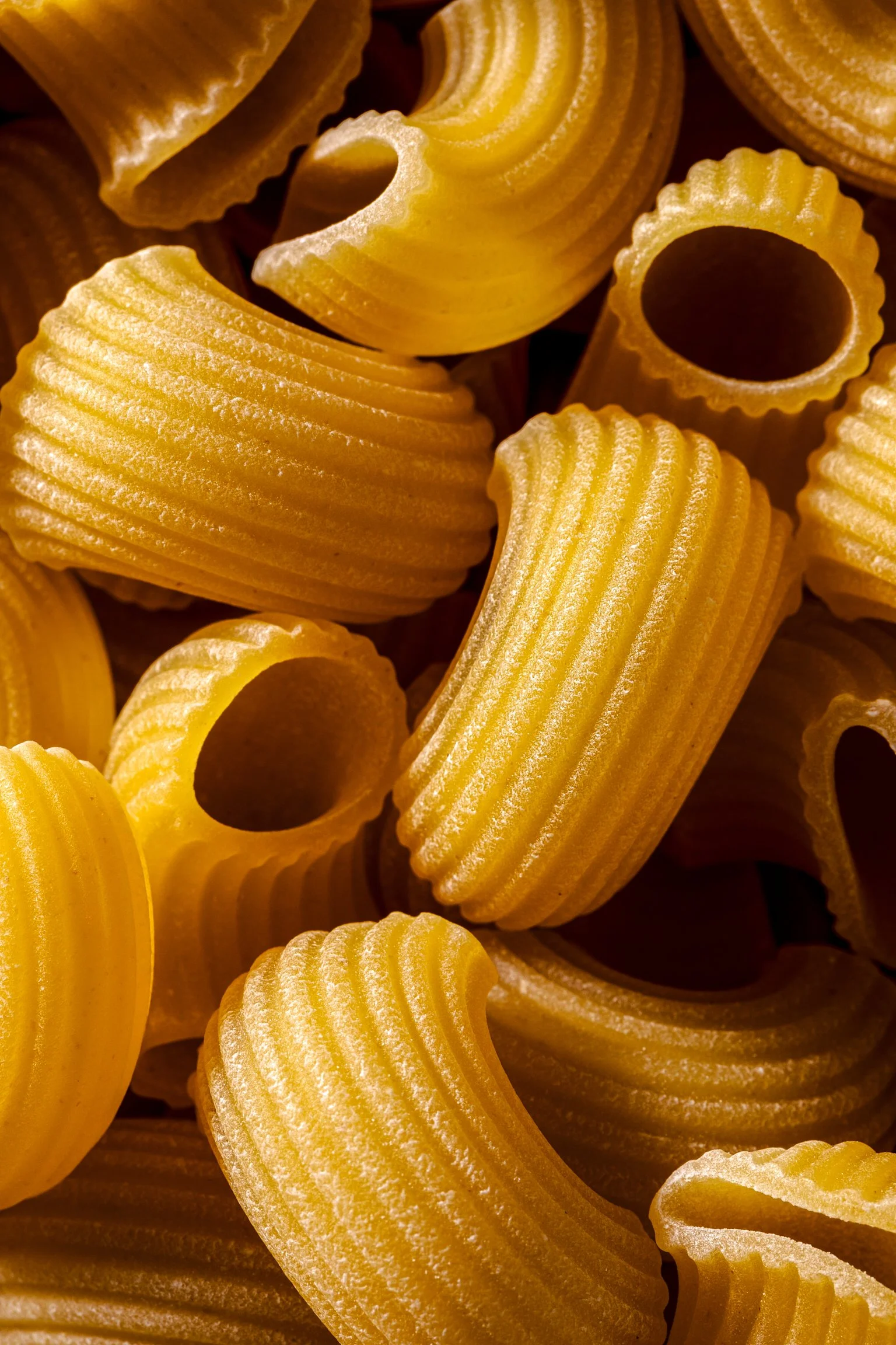 closeup of Lumache pasta