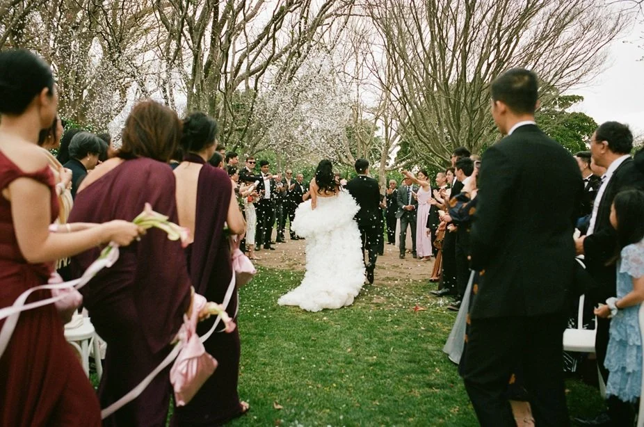 Film-96.jpg