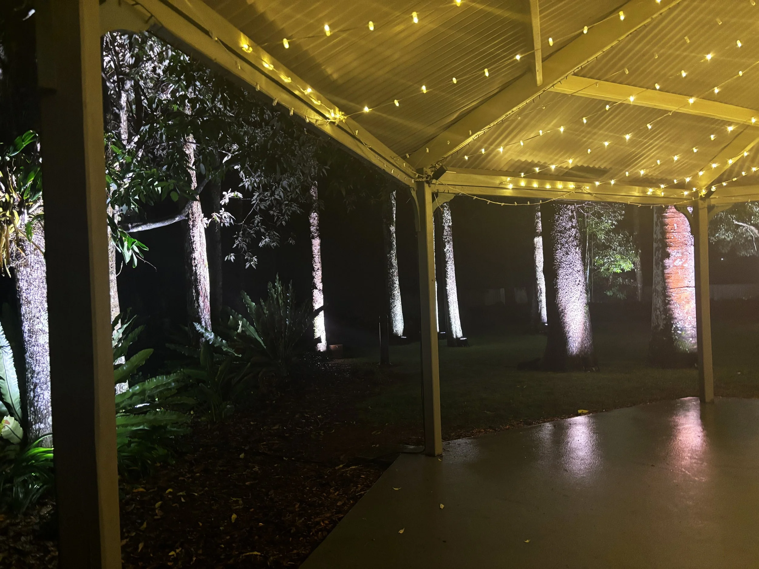 Nighttime outdoor scene with trees illuminated by spotlights and yellow string lights hanging from a yellow canopy with a wet concrete floor.
