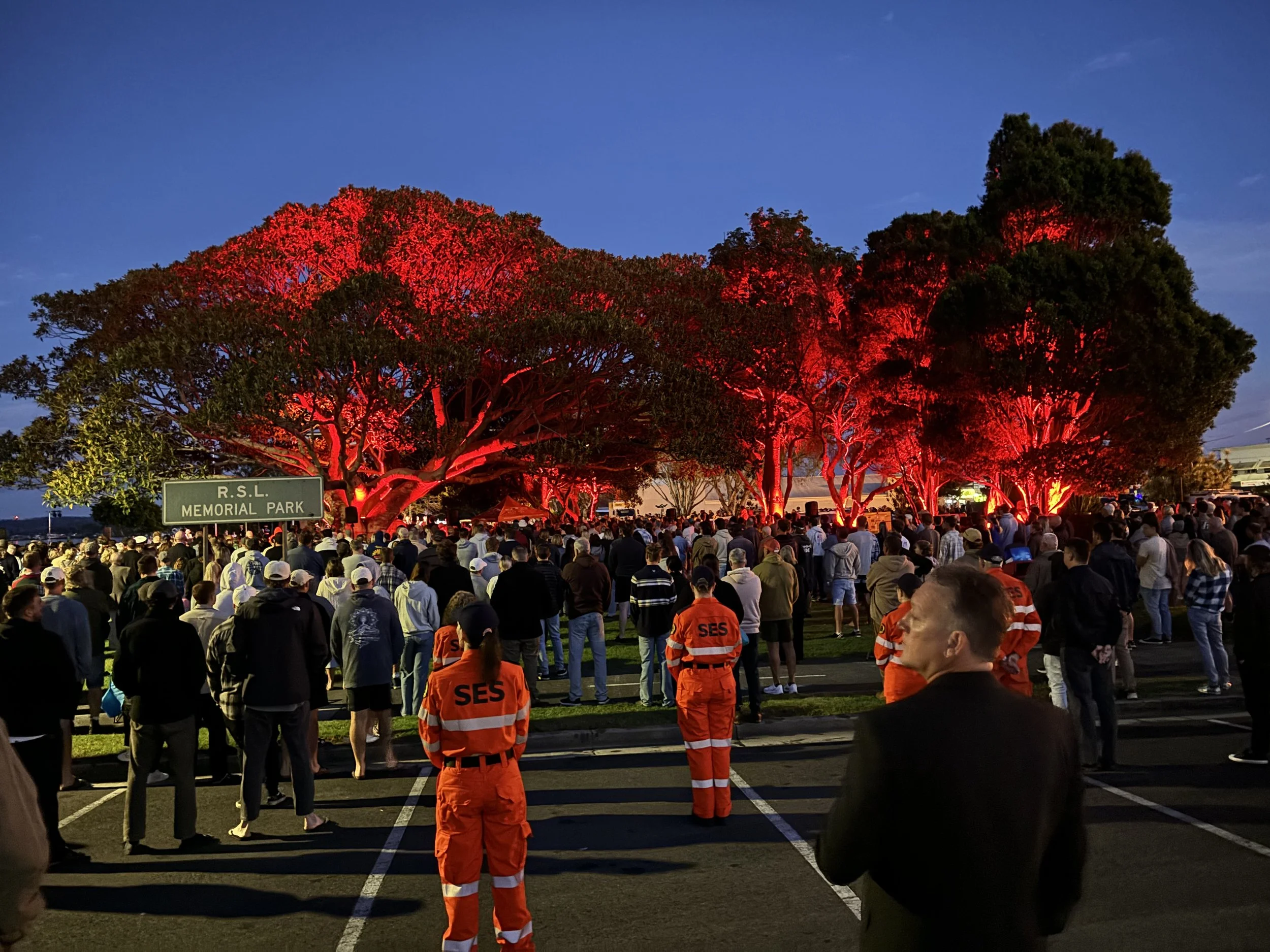 Crowd gathered at RSL Memorial Park under trees lit red, for a memorial anzac service. Early Morning event.