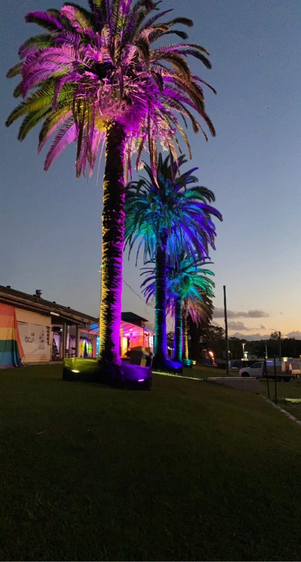 Tropical Fruits - 2022