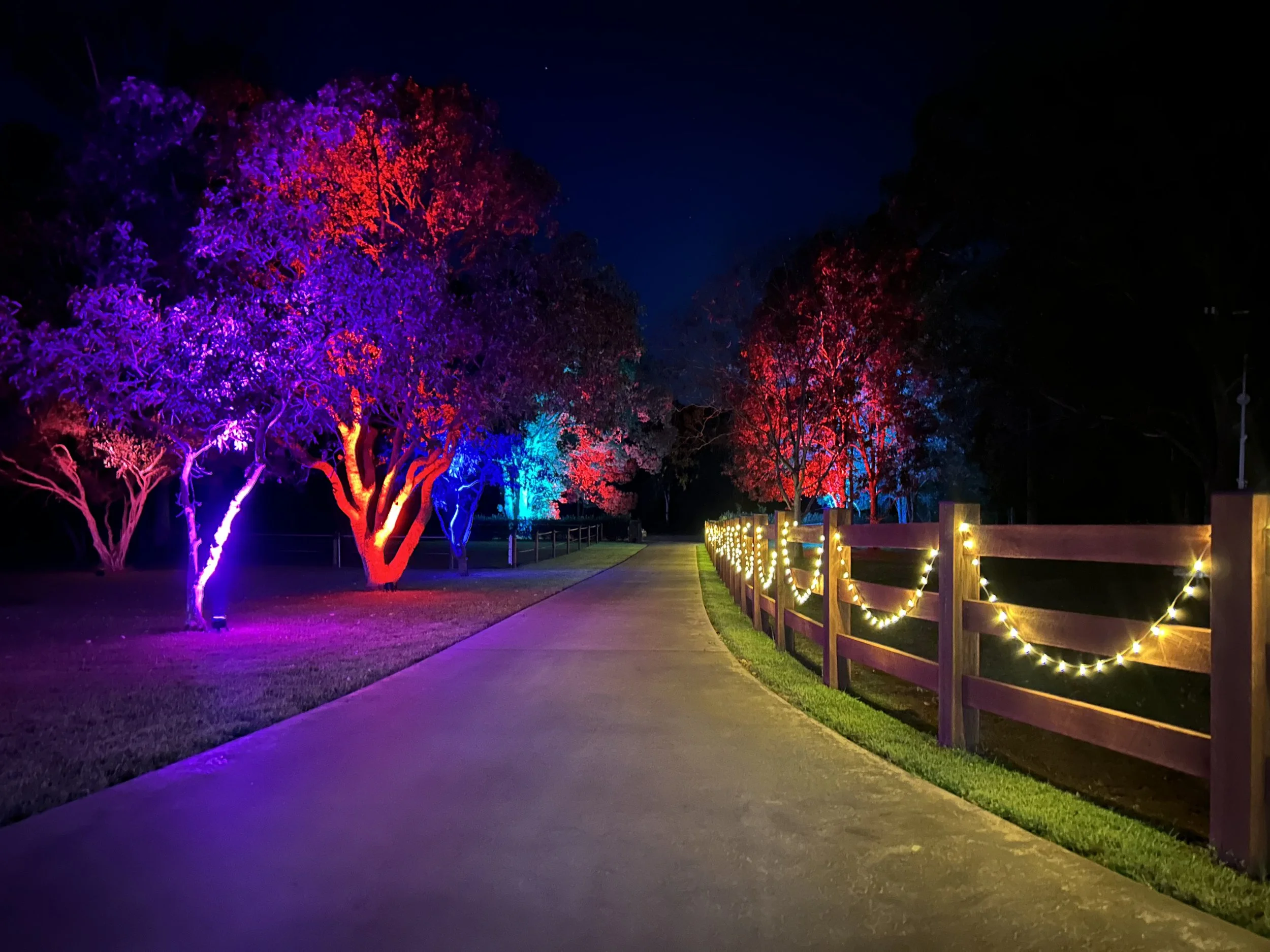 Night scene of a sidewalk next to trees illuminated with colorful lights in red, purple, and blue, and a wooden fence decorated with fairy lights.