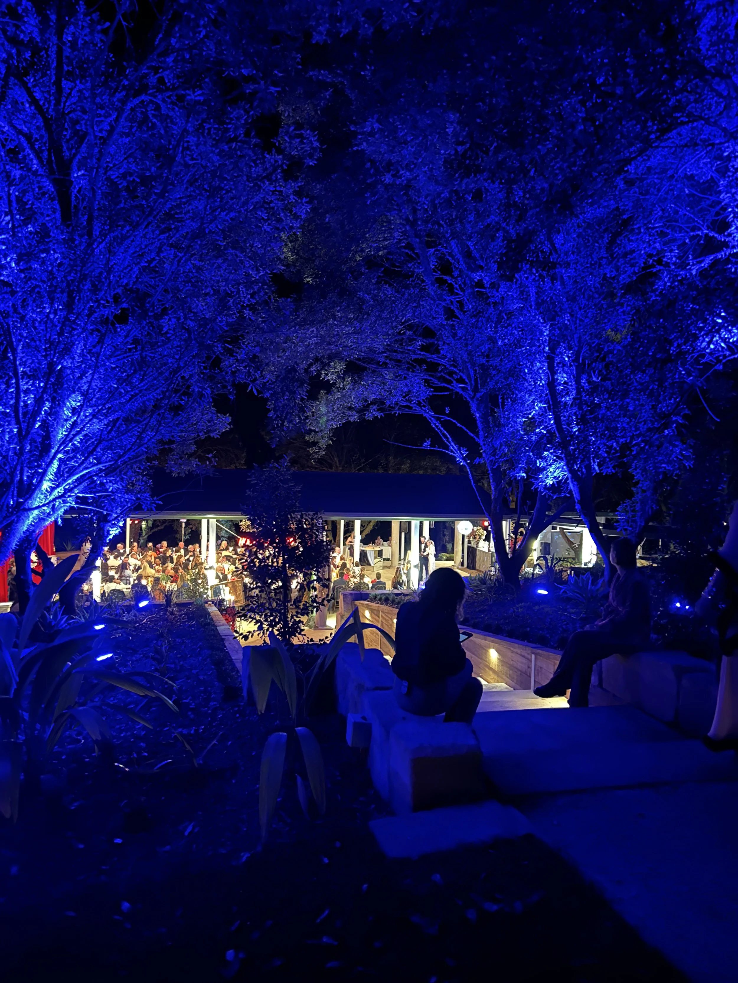 Outdoor evening scene with trees illuminated in blue lights, people sitting on rocks and benches, and a lit-up building or stage area in the background with people gathered.