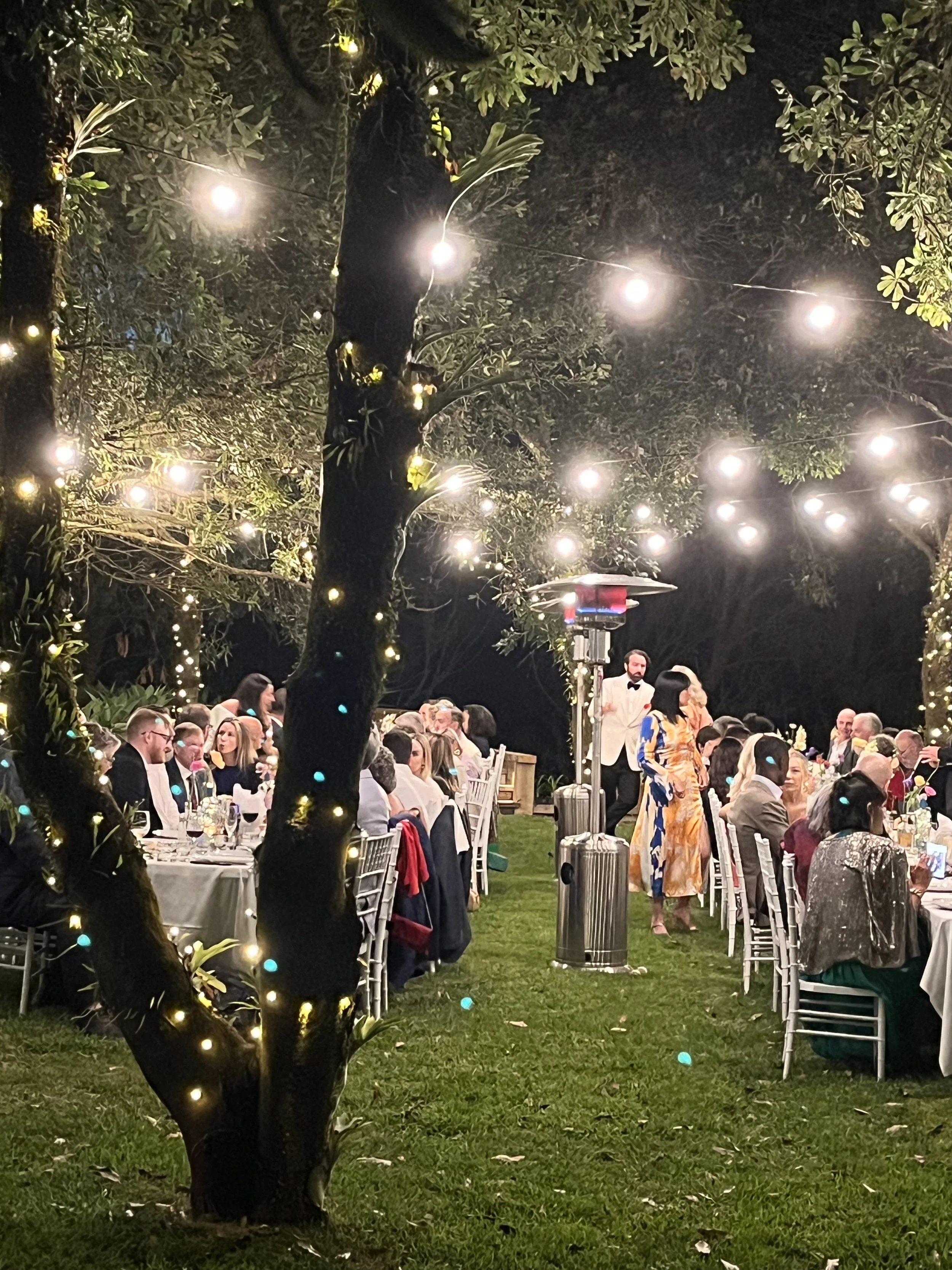 Outdoor evening wedding reception with tables of guests under string lights, surrounded by trees with fairy lights.