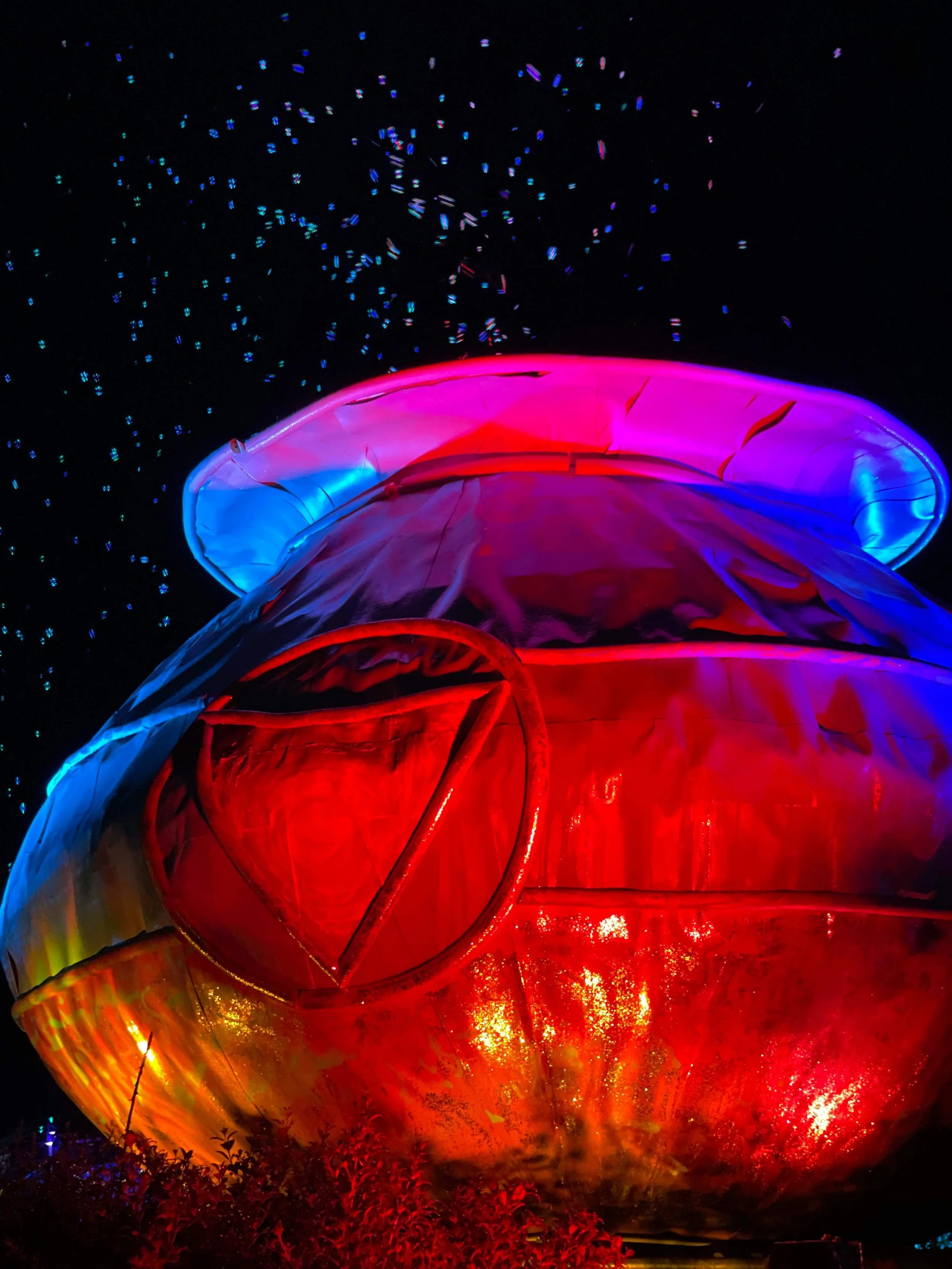 Tropical Fruits 2023