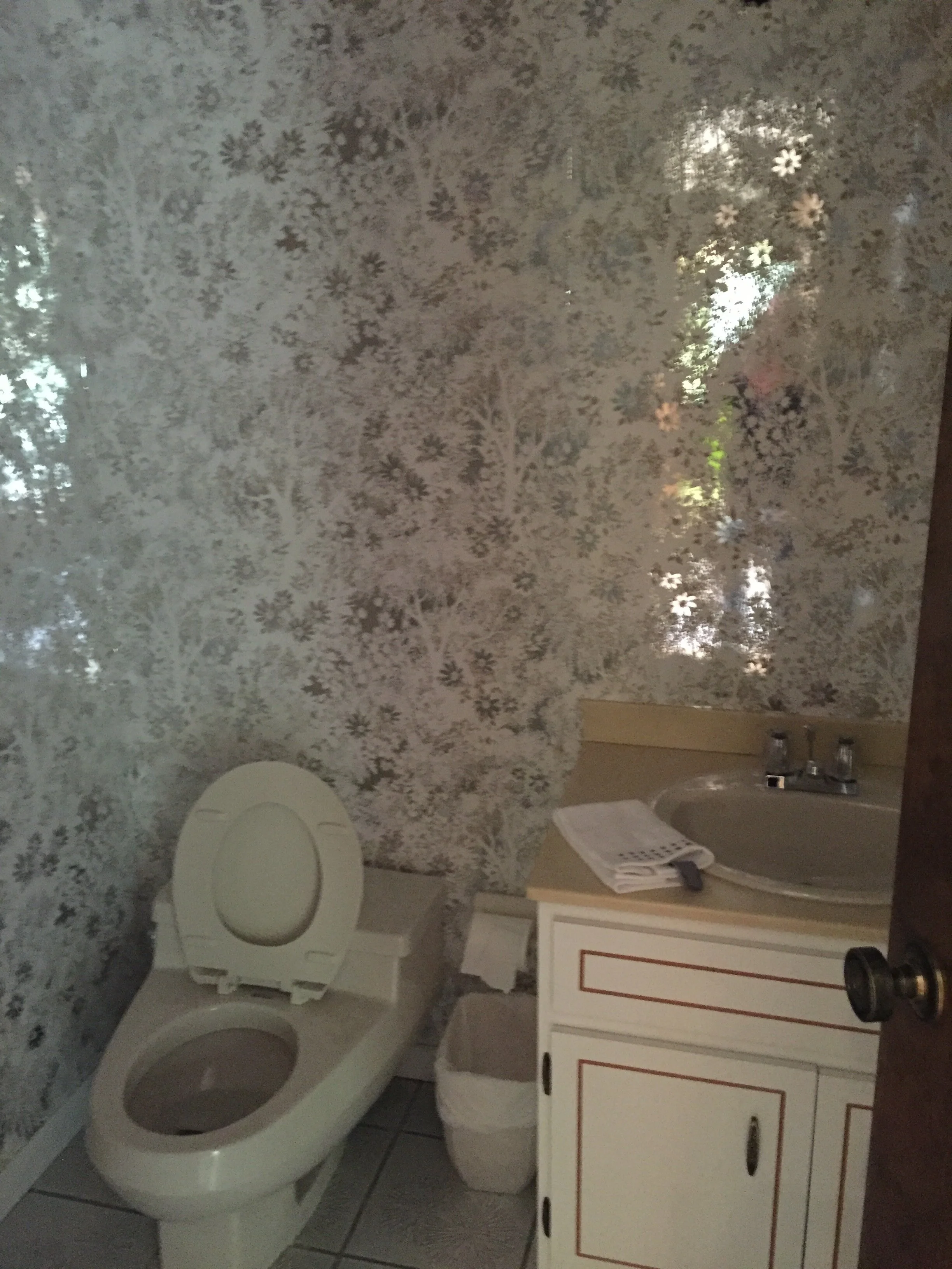 Powder Room Update - BEFORE