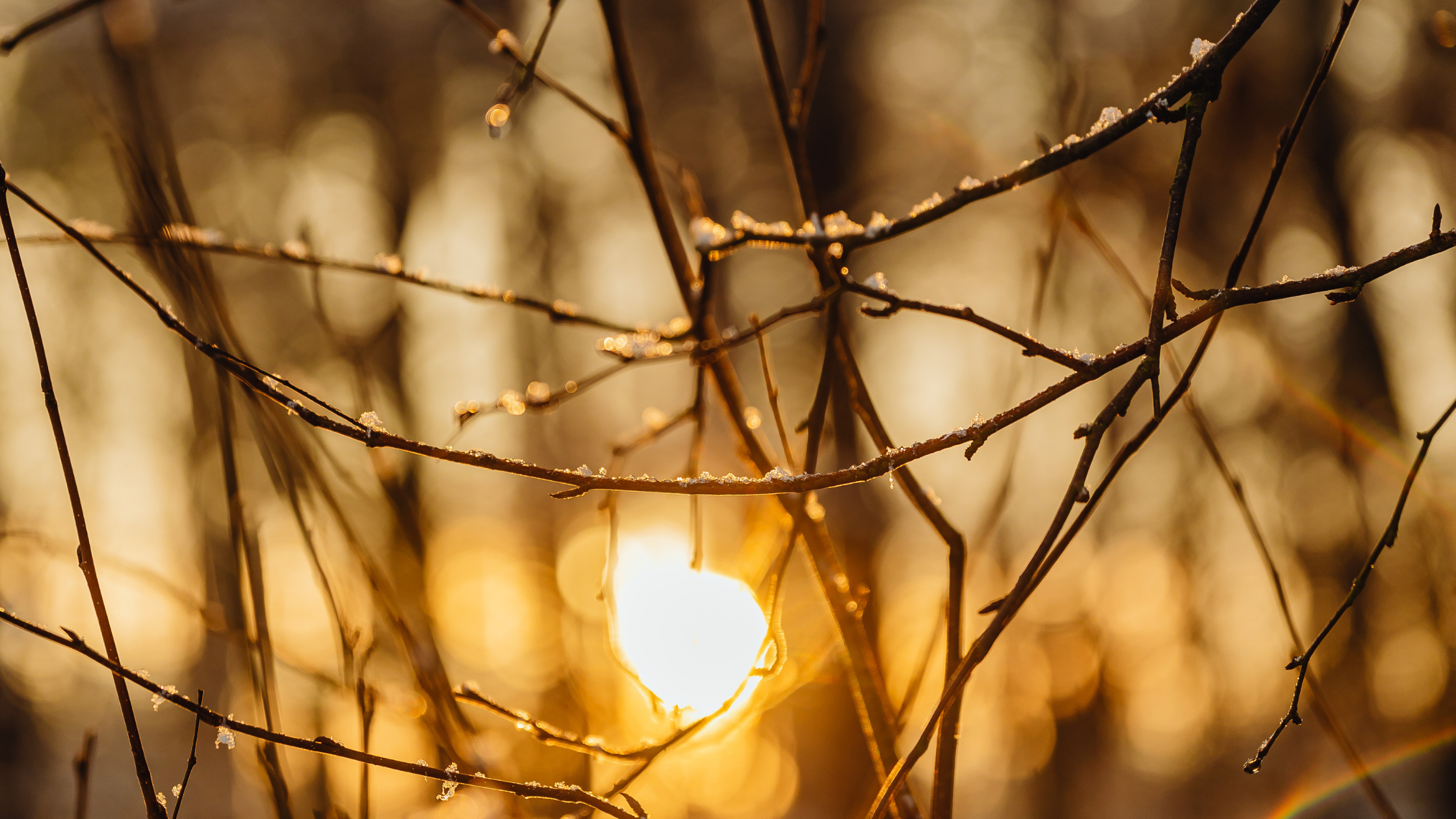 A year in reflection