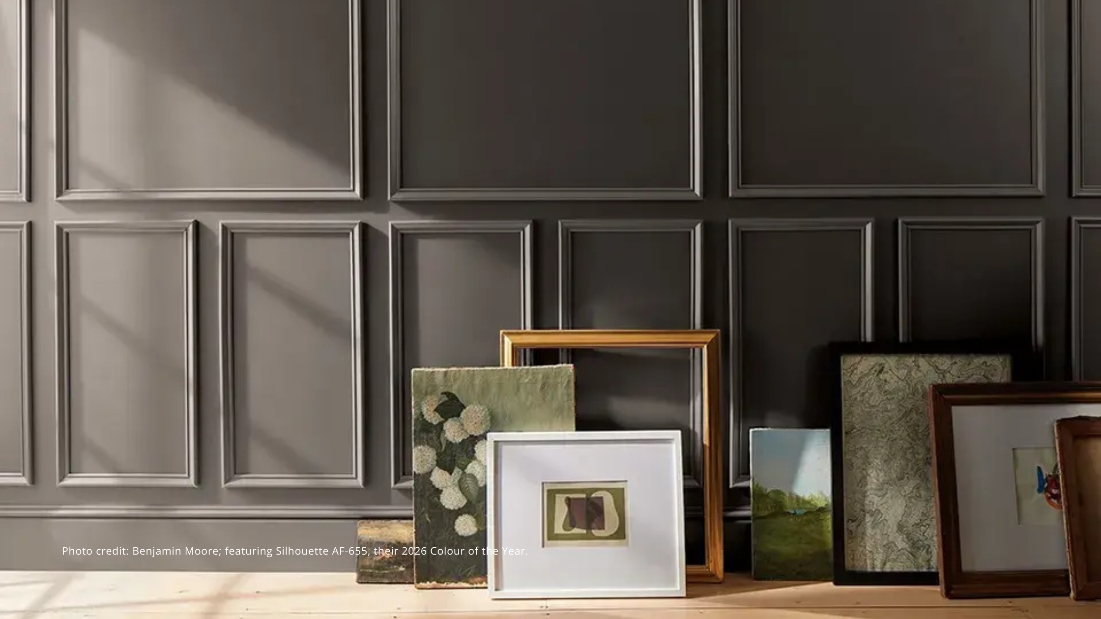 The Colours Shaping 2026