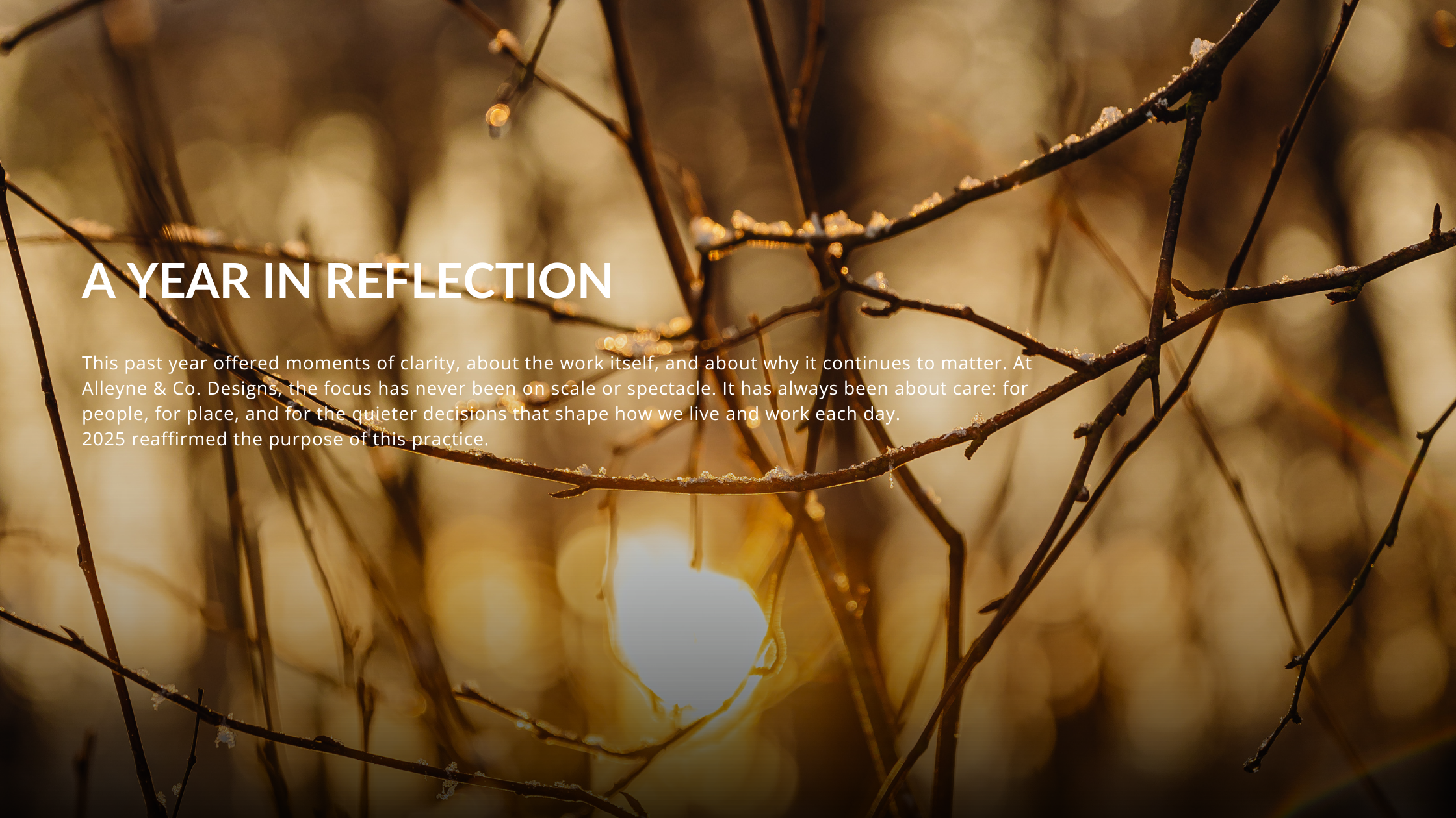 Sunset visible between twigs in a winter forest.