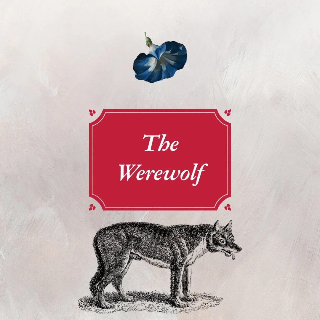 The only thing that sucks worse than having a crush is knowing that crush will never love you as much as the sexy werewolf erotica she writes. Adapted from the short story “Wildly Gratuitous, Over-the-top Werewolf Sex Scene” by Justy Kosek.