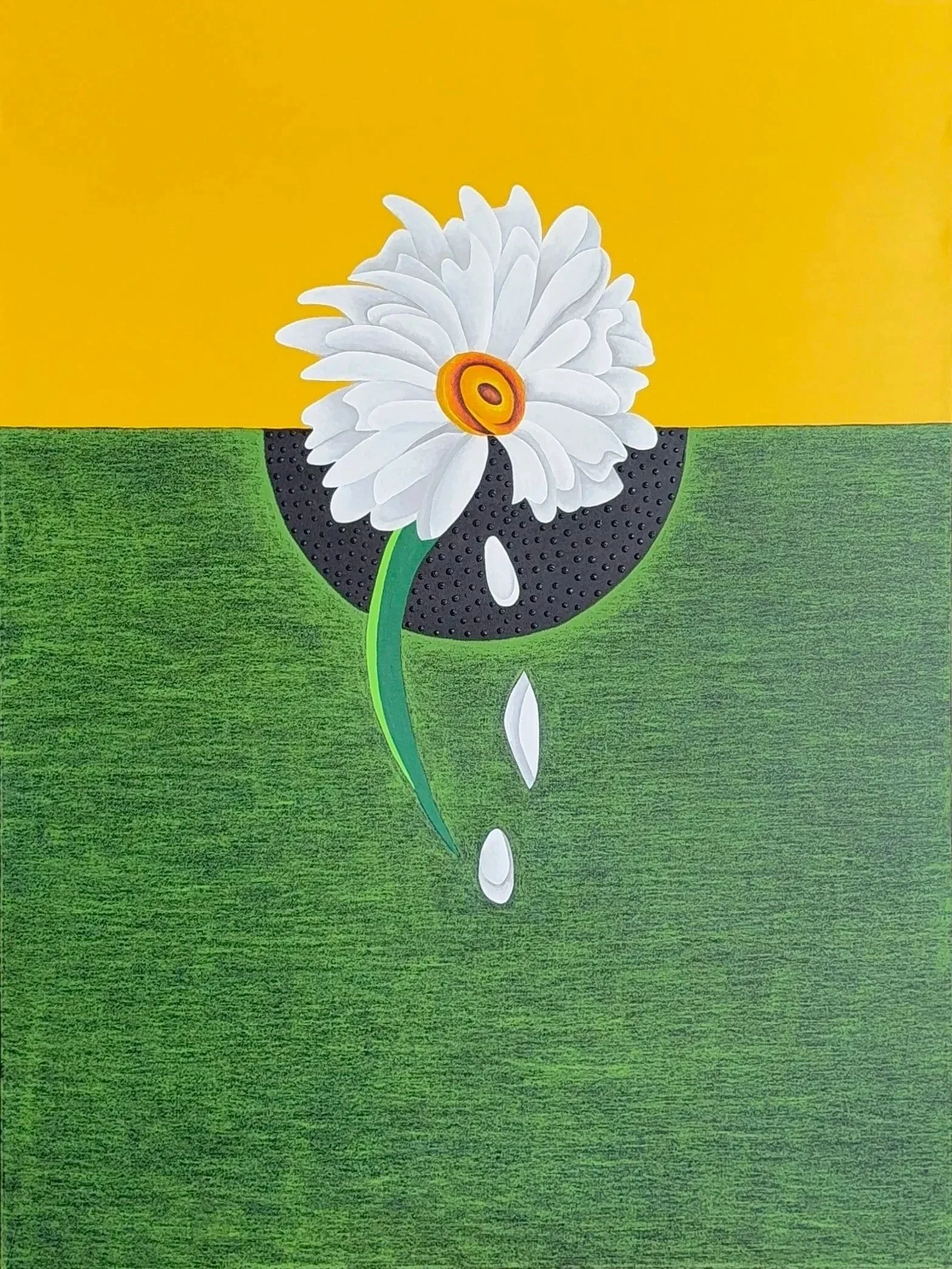 ‘He Loves Me, He Loves Me Not’ Daisy Series (Y/B/G)-36” x 48”