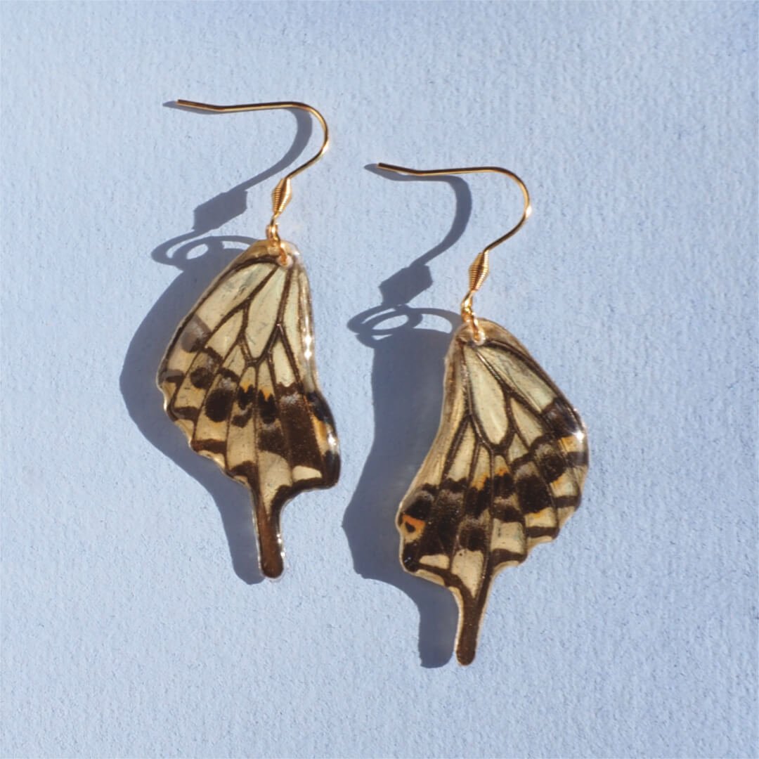 Swallowtail Butterfly - SECONDS