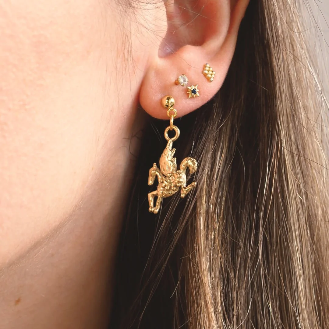 bronze pegasus jewellery.jpg
