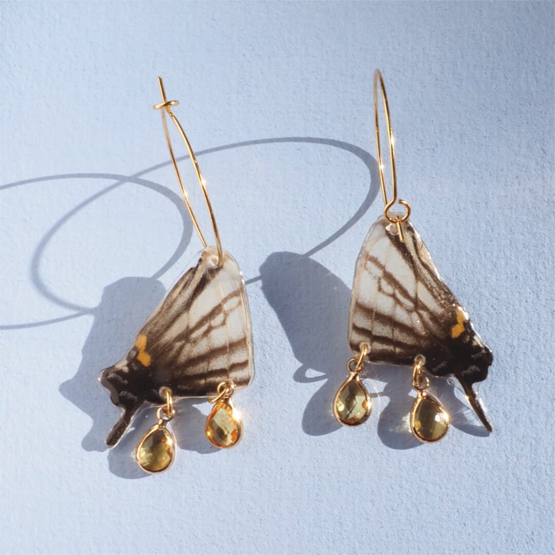 Swordtail Butterfly – SECONDS