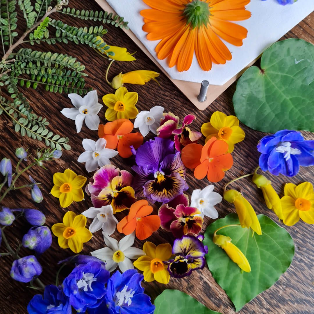 Flower Pressing Guide — Botanical Jewellery The Third Room