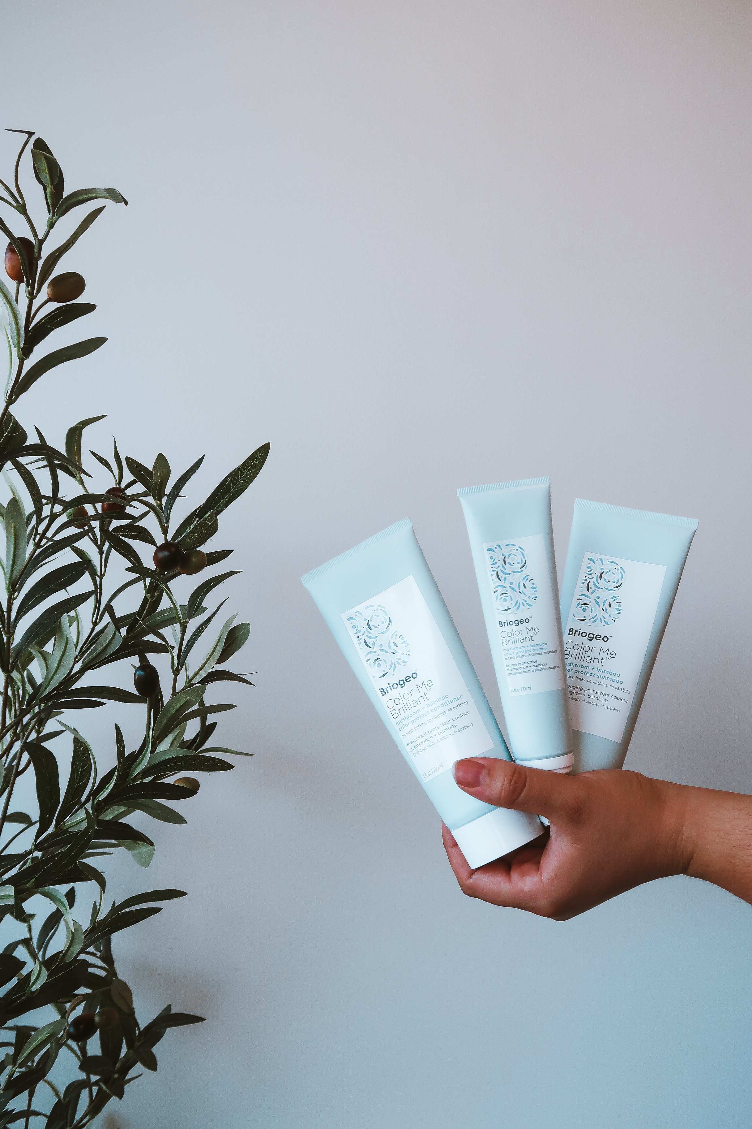 Mushroom + Bamboo Color Protect SHAMPOO