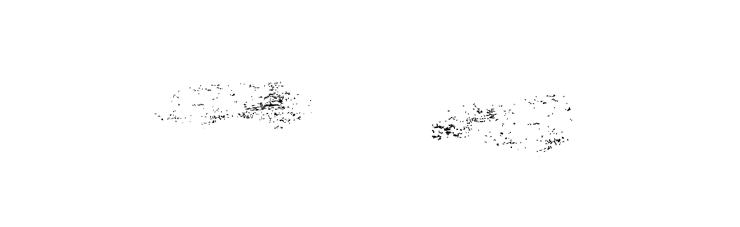 Buzzys.ca