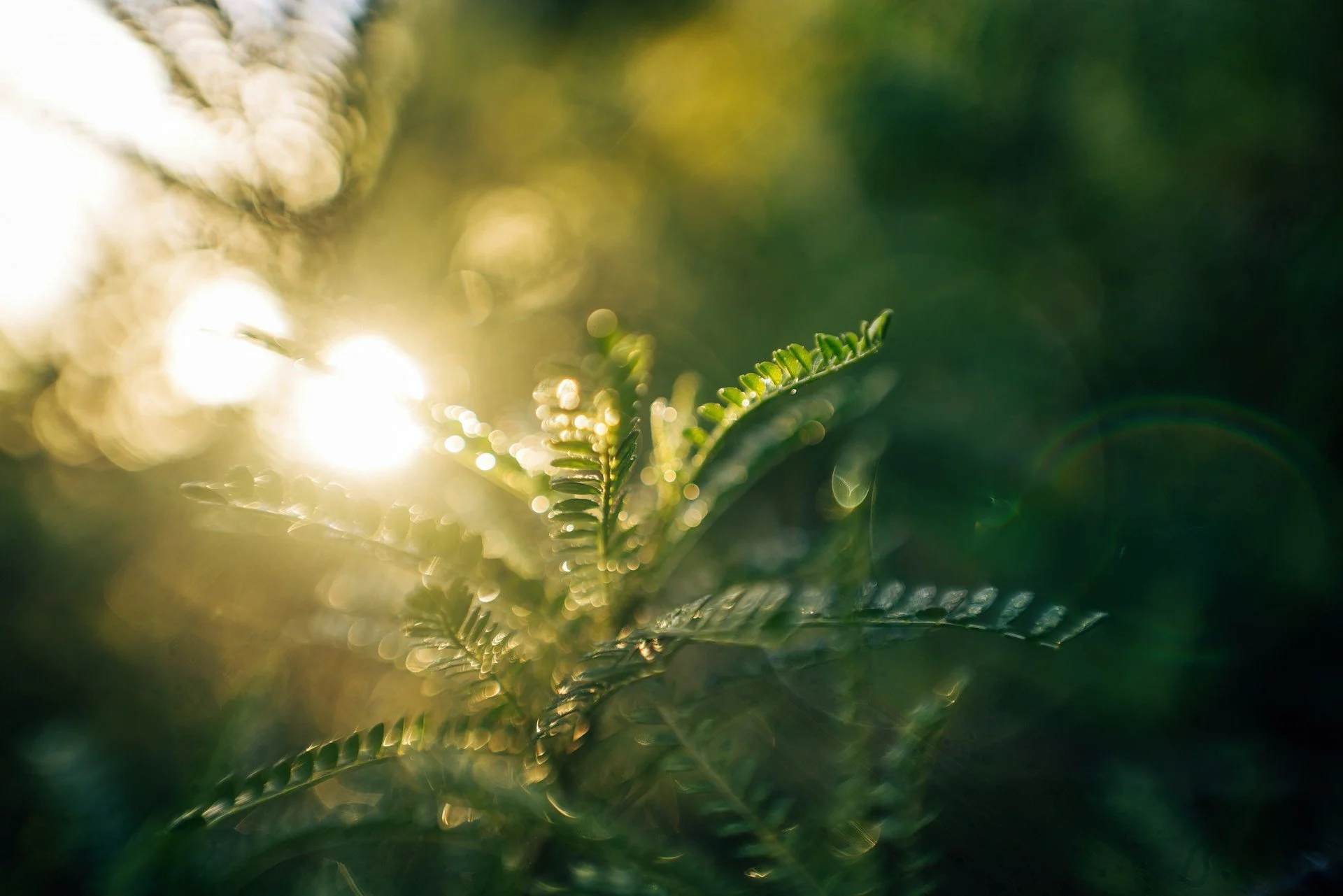 Everything is Beautiful and I am So Sad, Episode 432