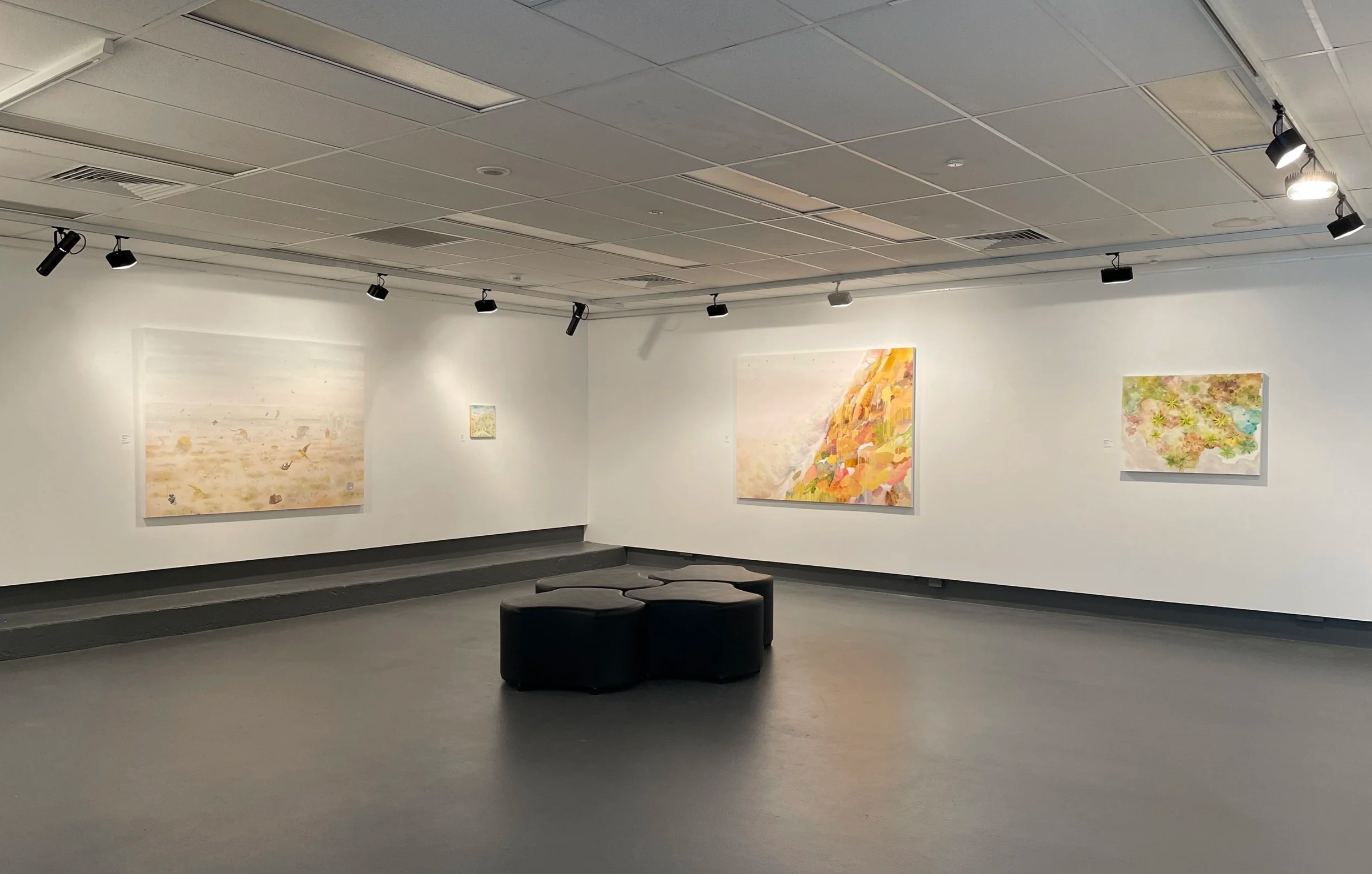 Eco:tone Exhibition at QCA Galleries