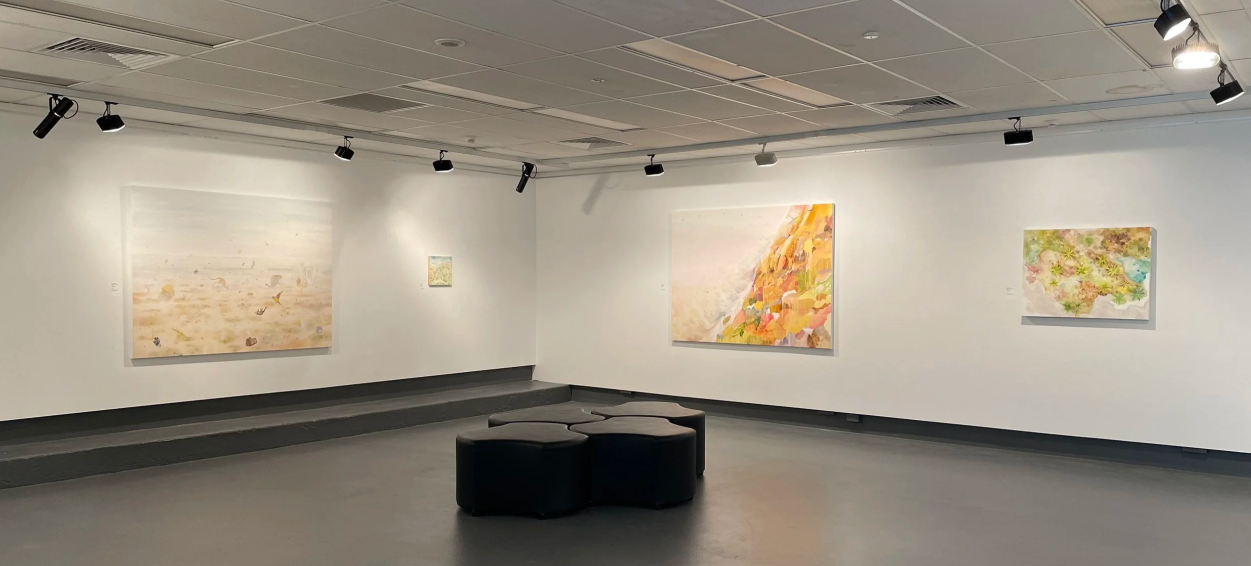Install Photo: Eco:tone in the Project Gallery at Queensland College of Art & Design
