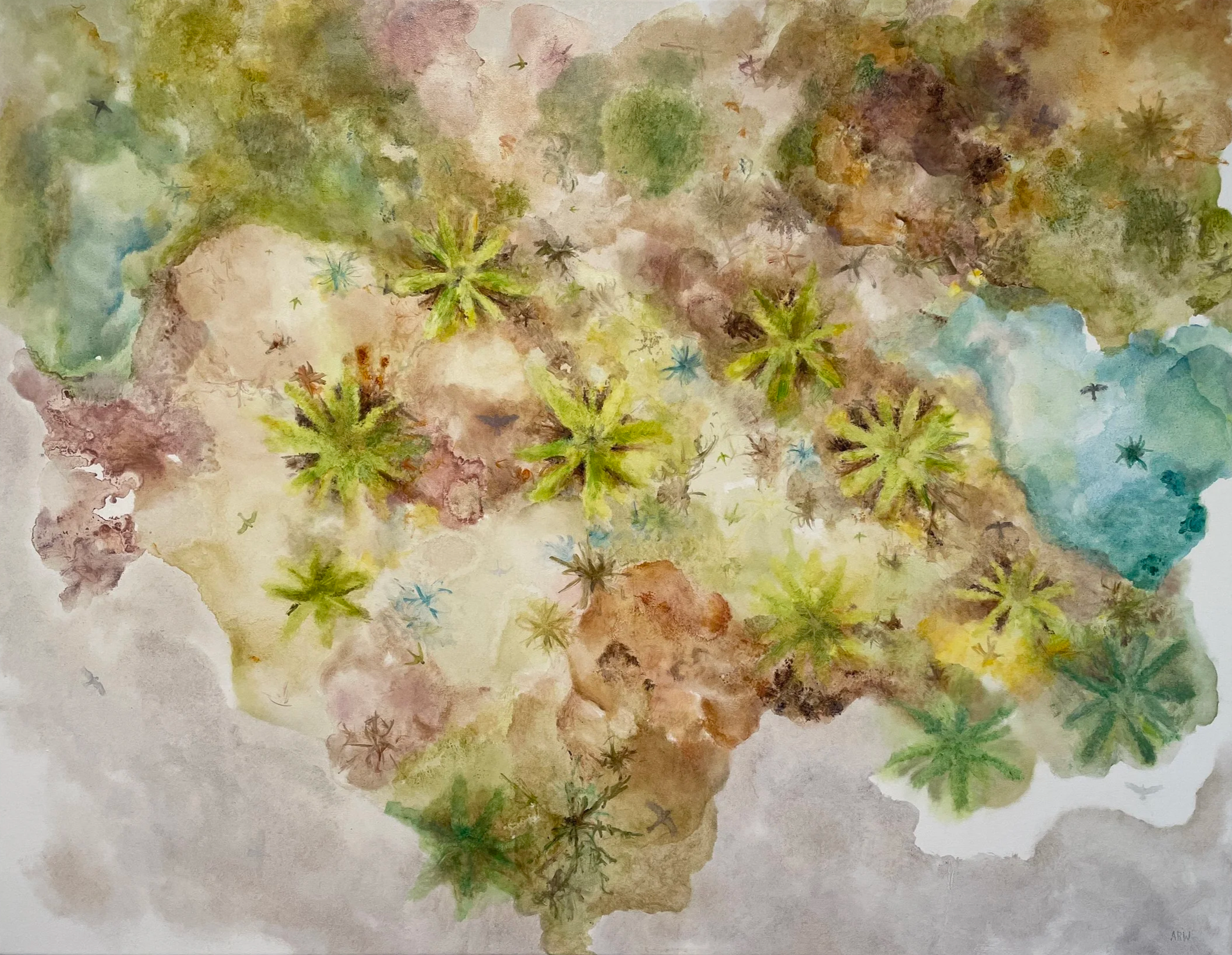 Take a Photo with your Eyes (2023), oil on canvas, 71 x 91cm