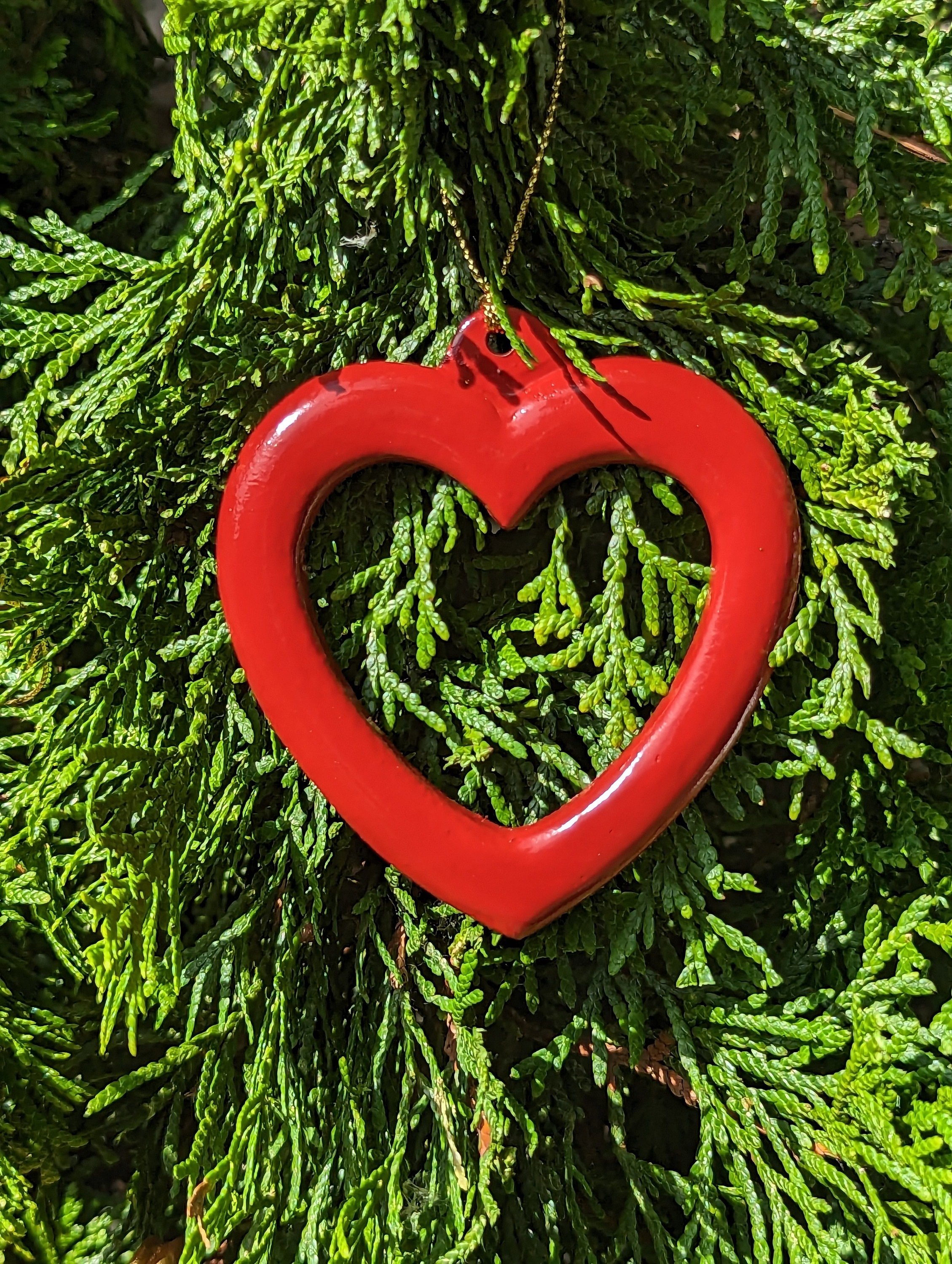 https://i.etsystatic.com/34780387/r/il/fedfef/5411799997/il_fullxfull.5411799997_rigy.jpg
