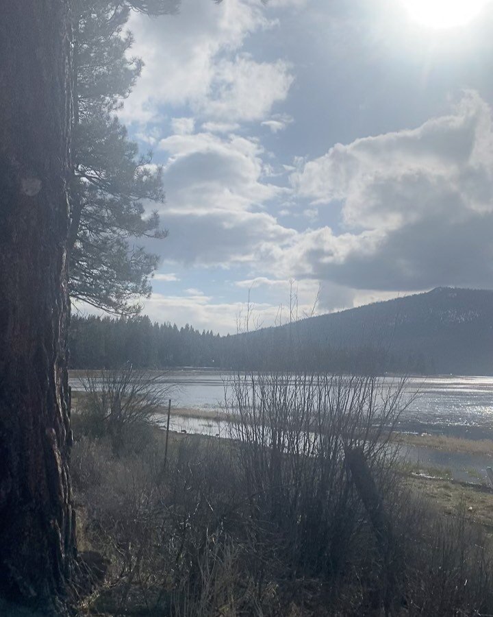 I know most folks don&rsquo;t have a favorite rest stop. But I do. Grass Lake Rest Area in Southern Oregon is one I actually look forward to stopping at. Also it has a relic from my youth.