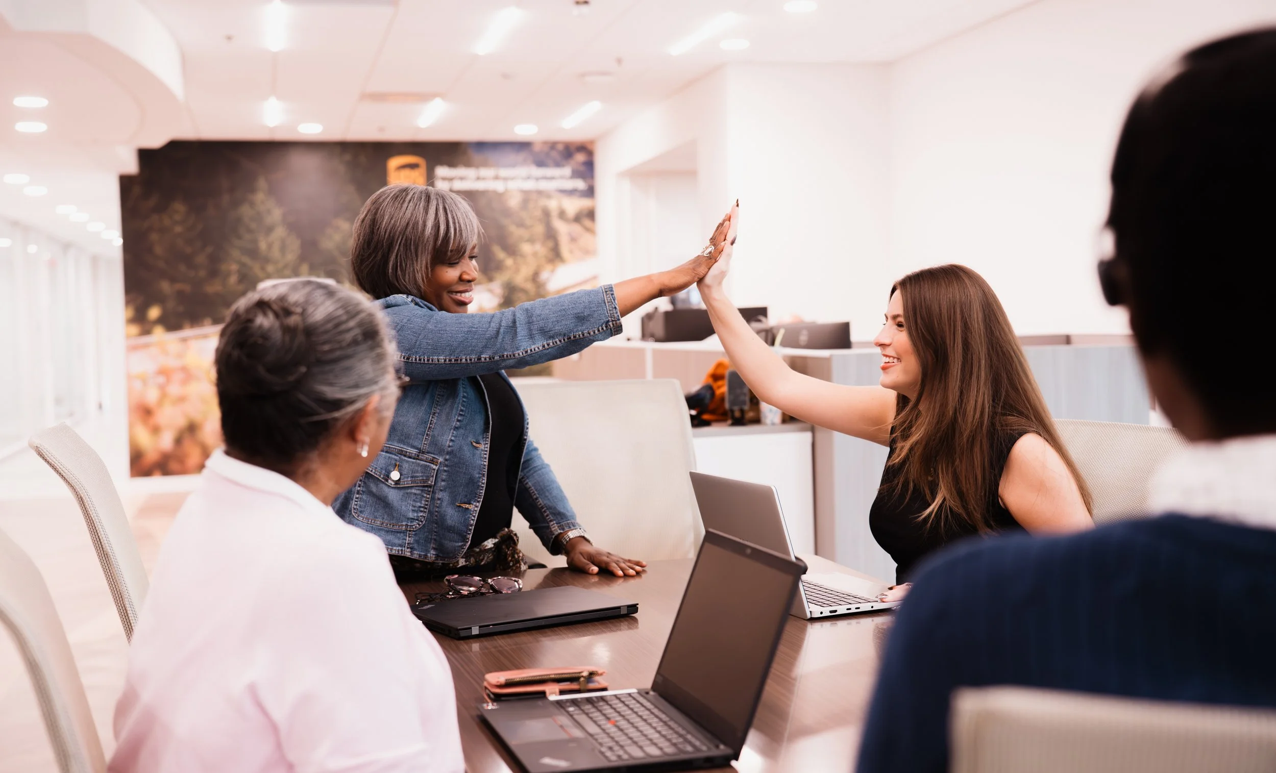 DSC04068-gifted-sheep-media (2).jpg