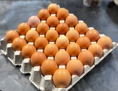 Screenshot 2026-03-06 104747.png