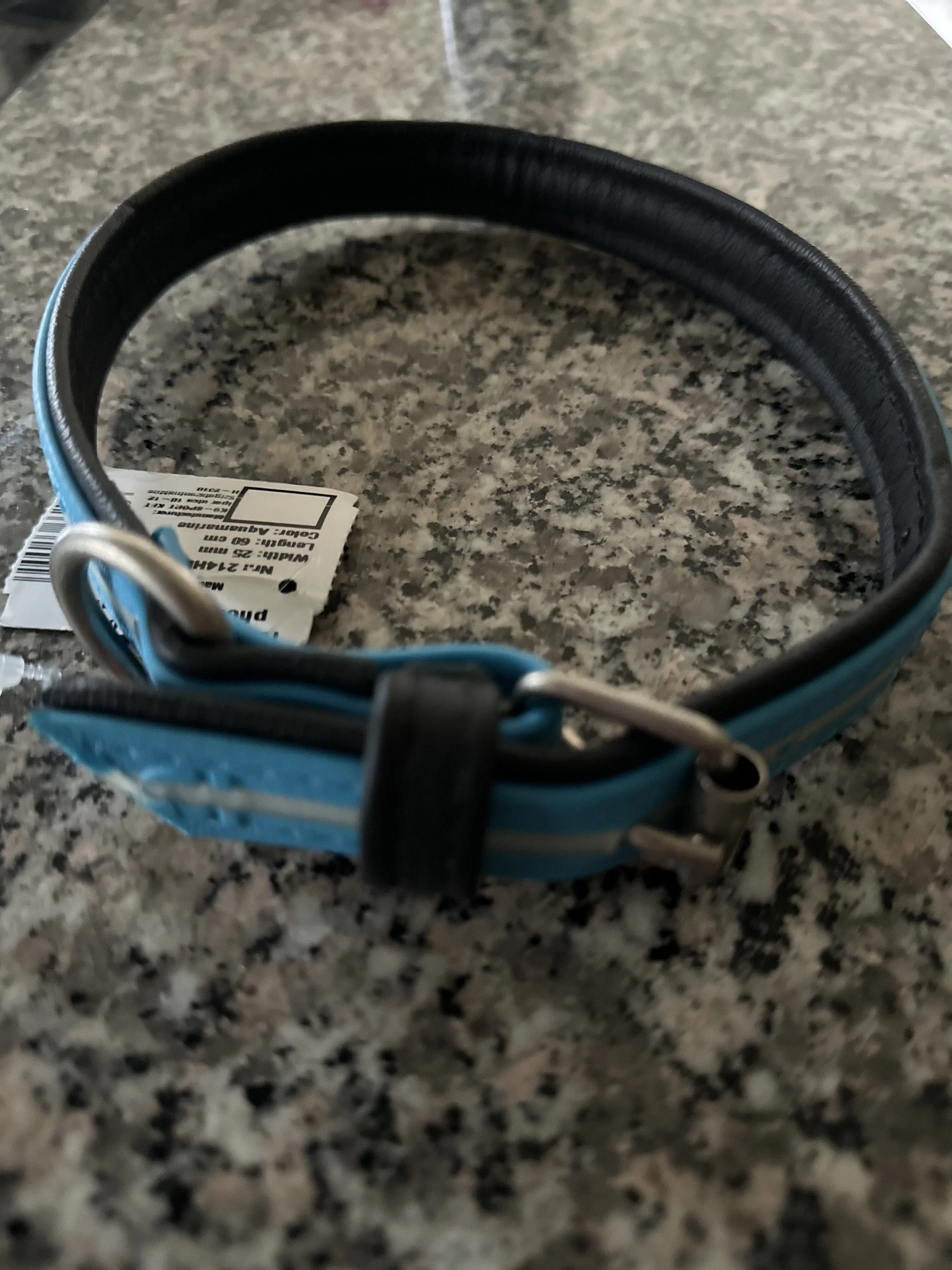 Hund, Hundehalsband, Julius K-9 Halsbänder, Halsband K-9 Dog, Dog, Dogs, Hunde, Österreich, Vorarlberg, Tosters, Rabauken Shop, Hundeausstattung, Hundetraining, Hundesport, Unermüdliche Rabauken