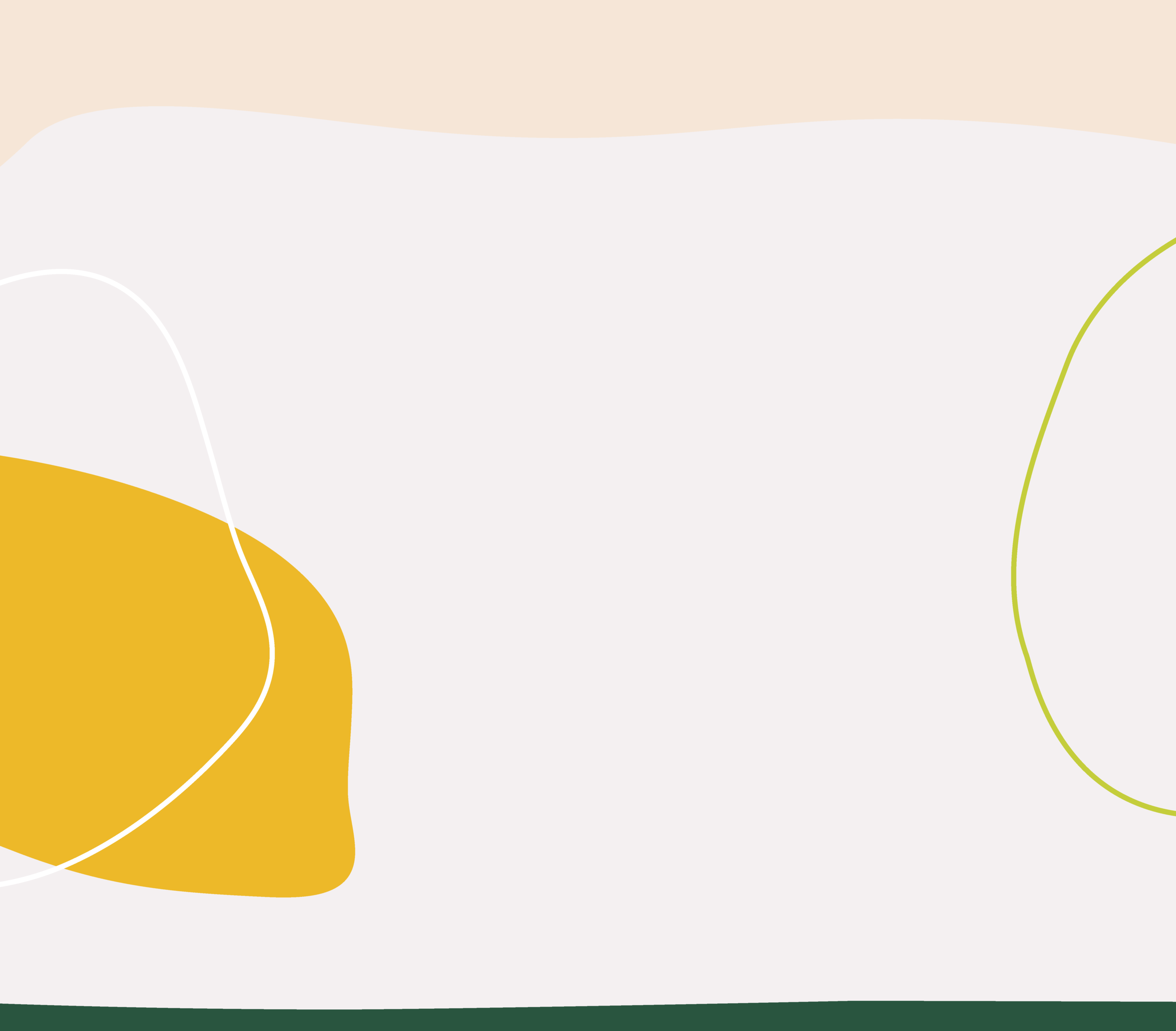 Großes Hunde 1x1 — unermüdliche Rabauken