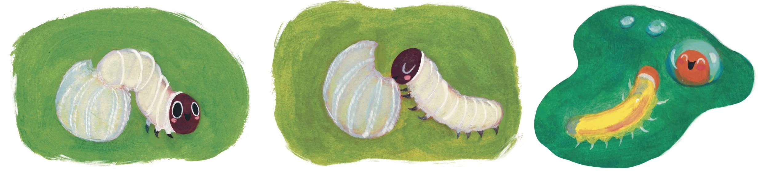 spot illustrations of caterpillar