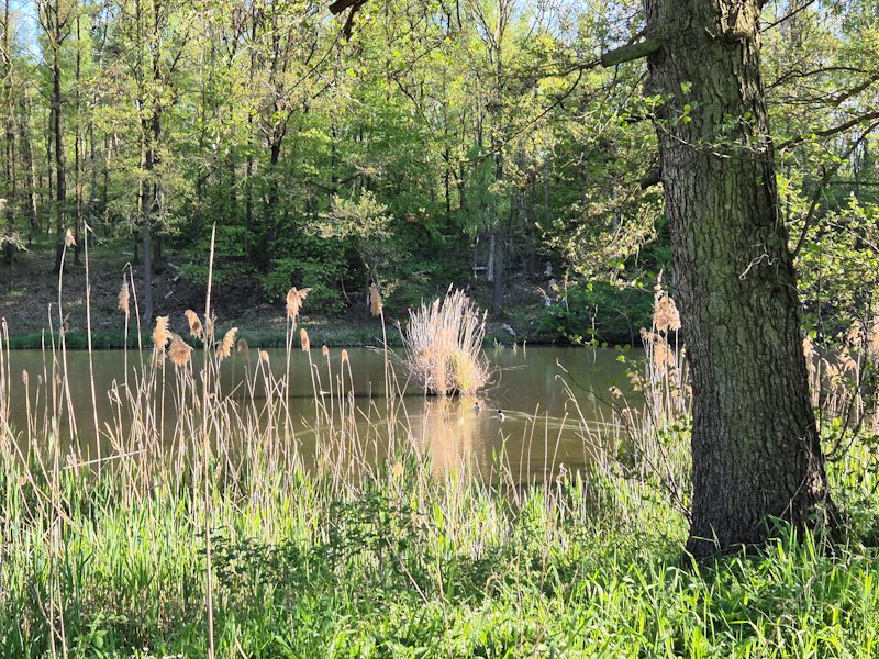 20250501_181415_edited.jpg