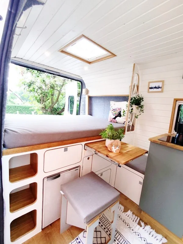 Eddy - leider schon verkauft. Für mehr Impressionen bitte auf das Bild klicken.