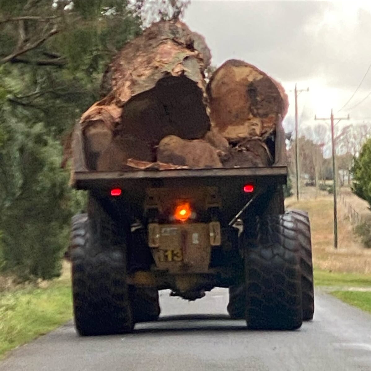 Thought it best to not overtake this one today&hellip;&hellip;or get too close 😬 #bigtrailer #biglogs