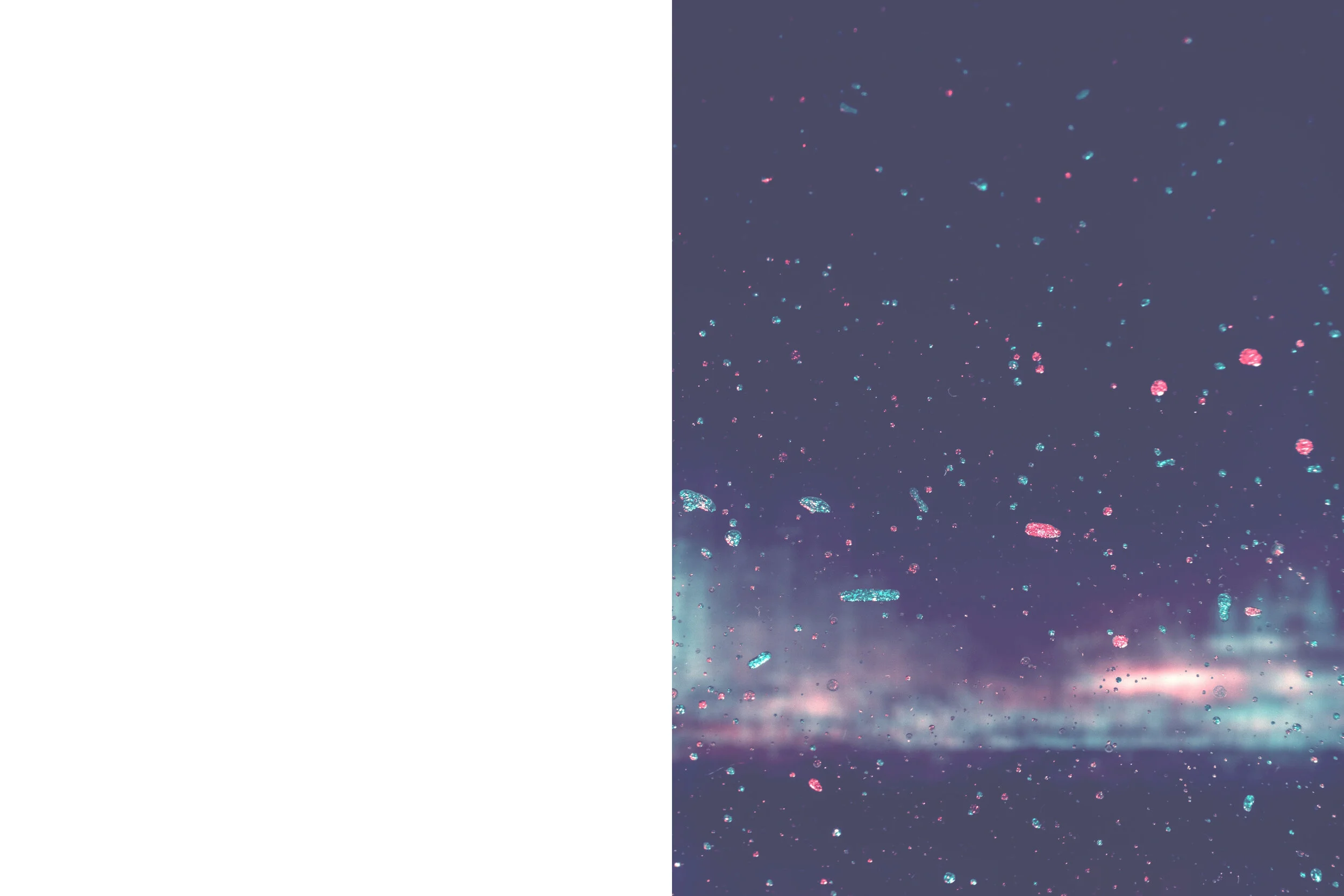 jr-korpa-stwHyPWNtbI-unsplash2.jpg