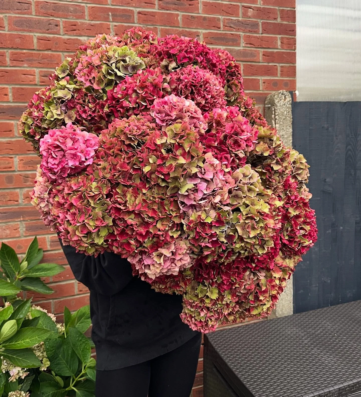 Hydrangea heaven! 
Best autumnal hydrangeas from @porters_covent_garden