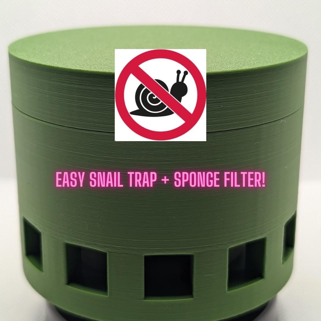 snail trap.jpg