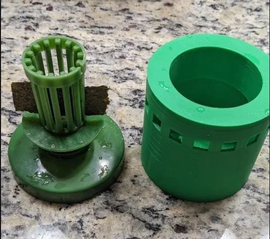snail trap 1.jpg