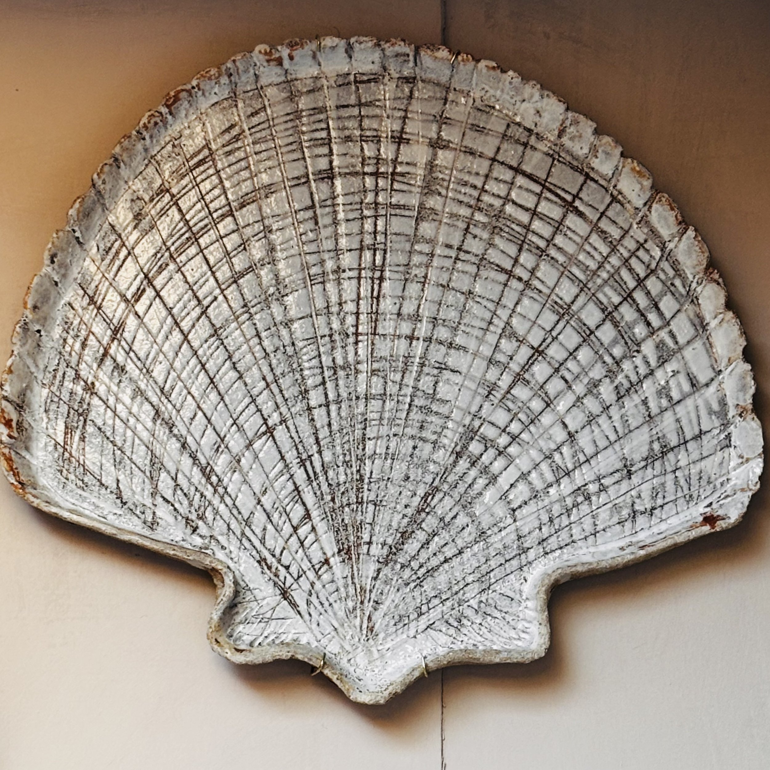 3. Scallop Shell Wall Plate
