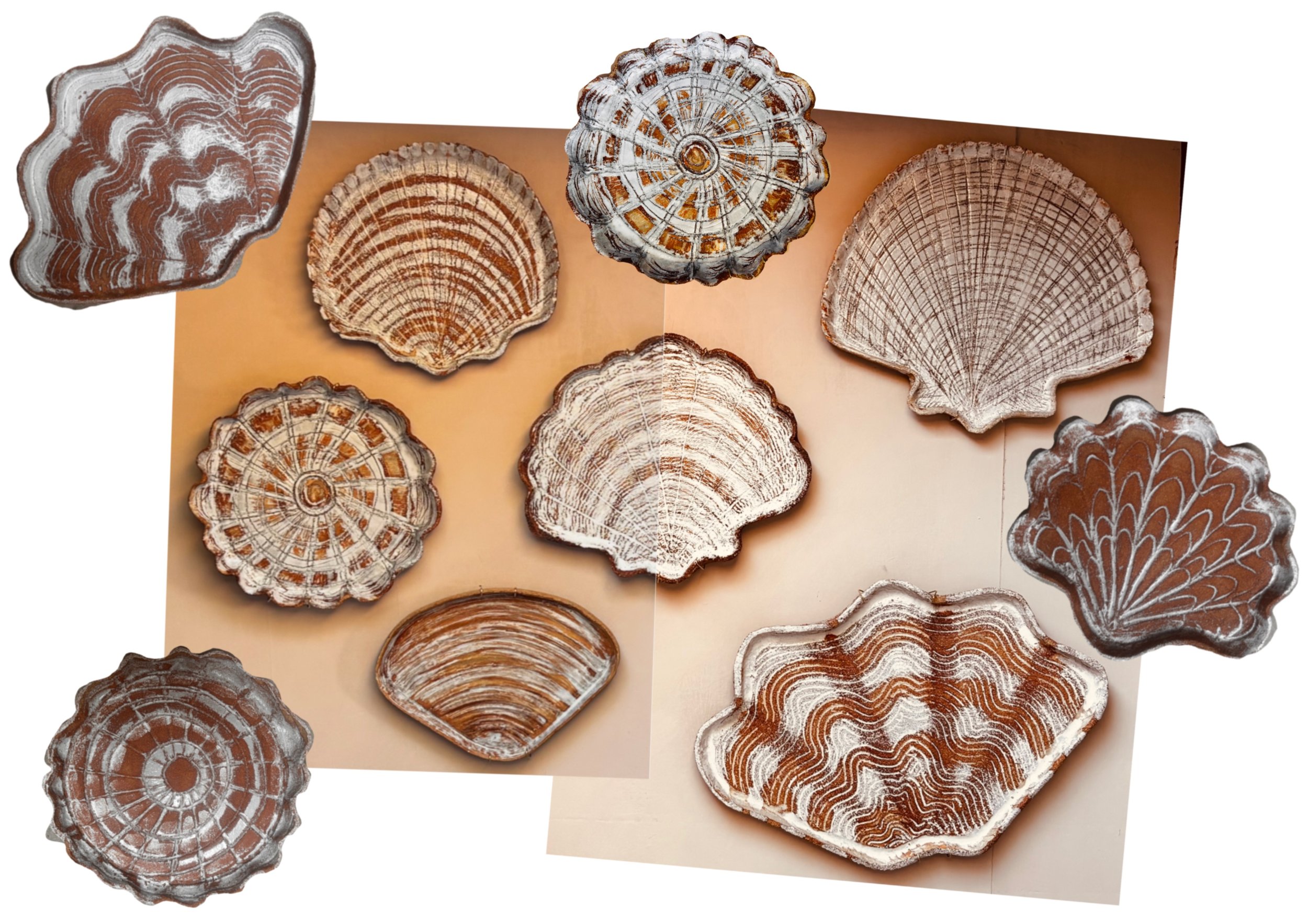 Shell Wall Plates  A Bespoke Collection can be made for you