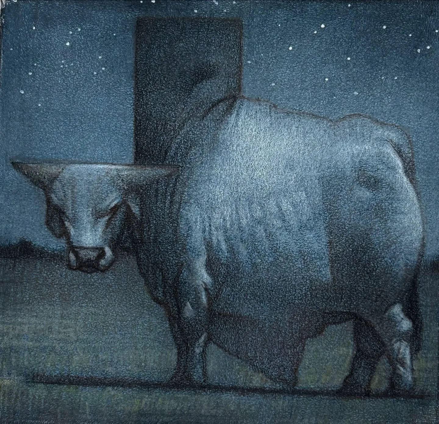 Try again with this new idea of state cattle. Let&rsquo;s hope it saves better than my last try. #cfpayne #hartfordartschool #illustration @illustrationmfa @illustrationacademy