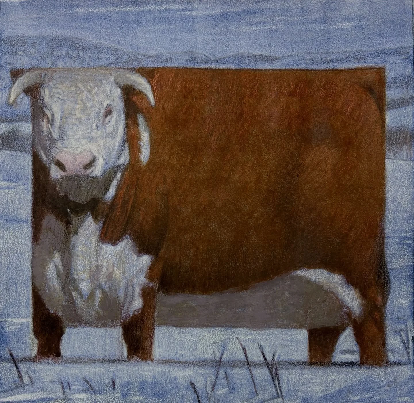 State of Wyoming Hereford. Just for fun. #cfpayne #hartfordartschool #illustration @illustrationmfa @illustrationacademy