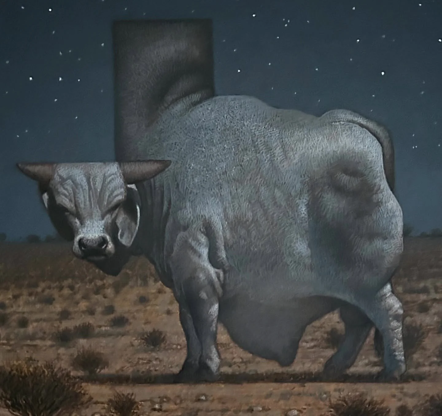 Taking my Texas Brahman Bull to the next step. Should finish it up tomorrow. #cfpayne #hartfordartschool #illustration @illustrationmfa @illustrationacademy