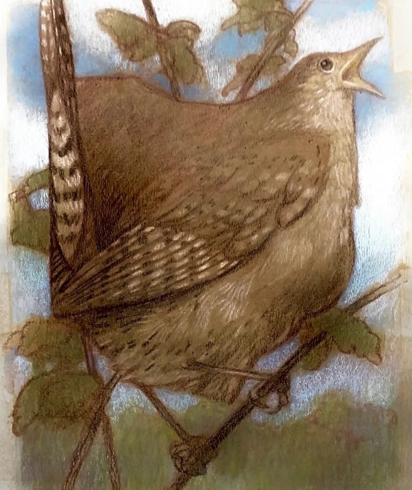 Yesterday I thought I heard it. Today I am sure. The house wrens are back in Ohio. I have put up the homes to have them singing for the next 5 months or so. Their song brings such joy for the spring and summer. #cfpayne #hartfordartschool #illustrati