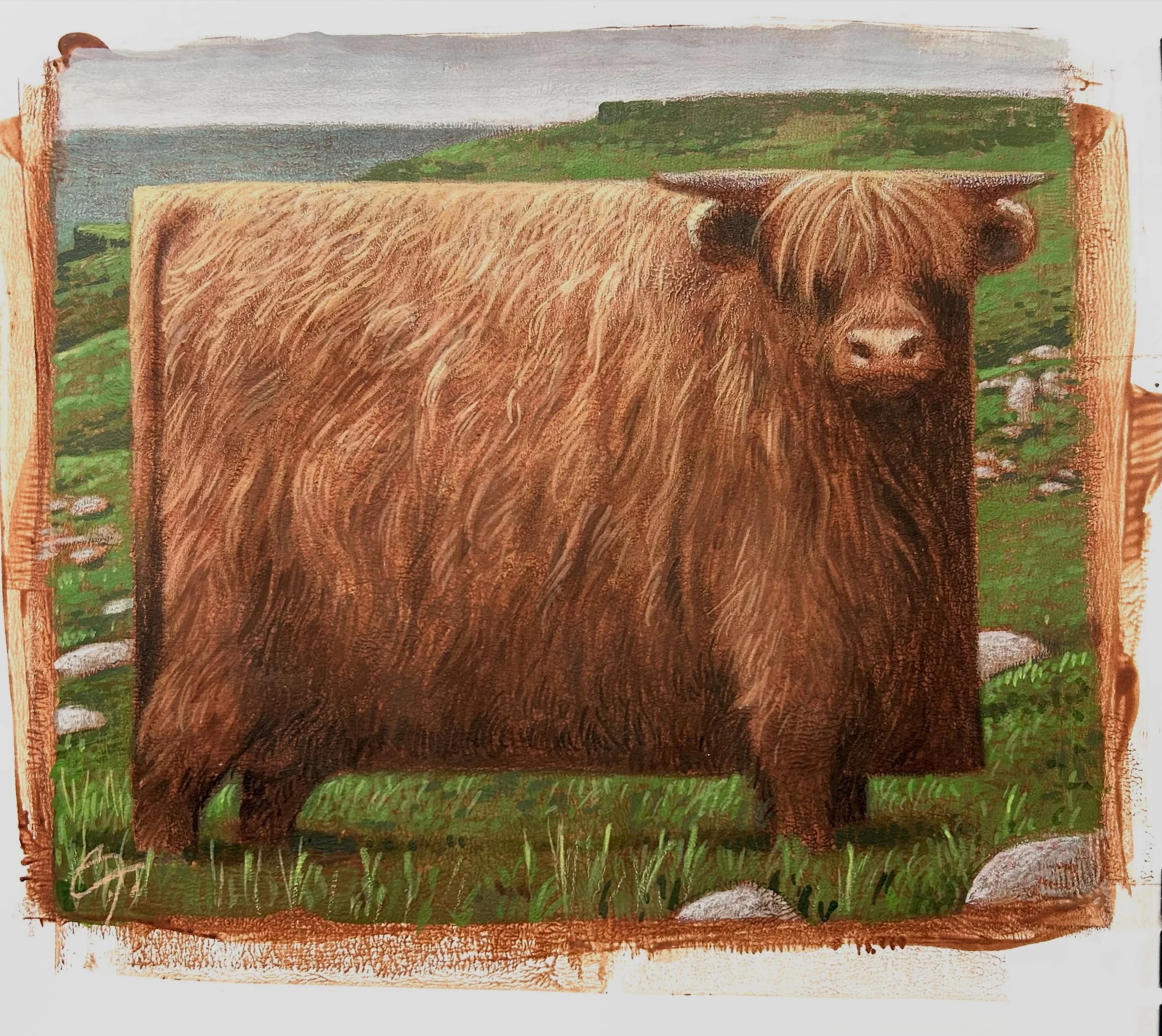 A new cow comp for a new painting. #cfpayne #hartfordartschool #mfa @illustrationmfa @illustrationacademy #highlandcow