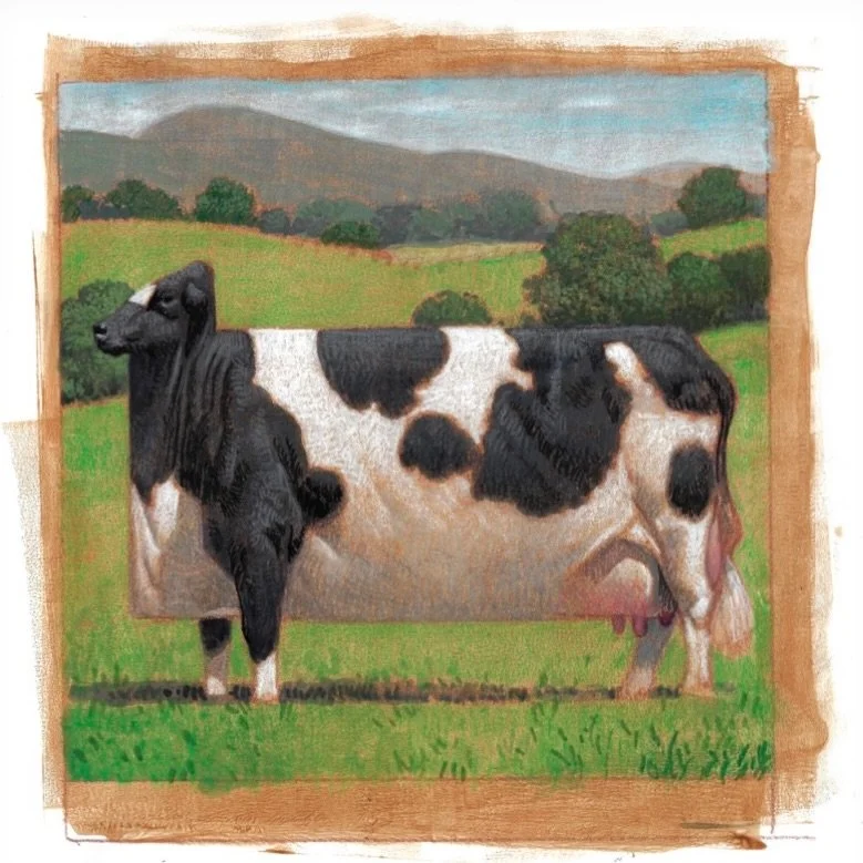 OK. The time is now to go to the Print Space link above in my bio to order a print or prints of my cow illustrations. The &ldquo; print drop&rdquo; is live now with seven days to place your orders. Once they are gone, they are gone. Thank you to all.