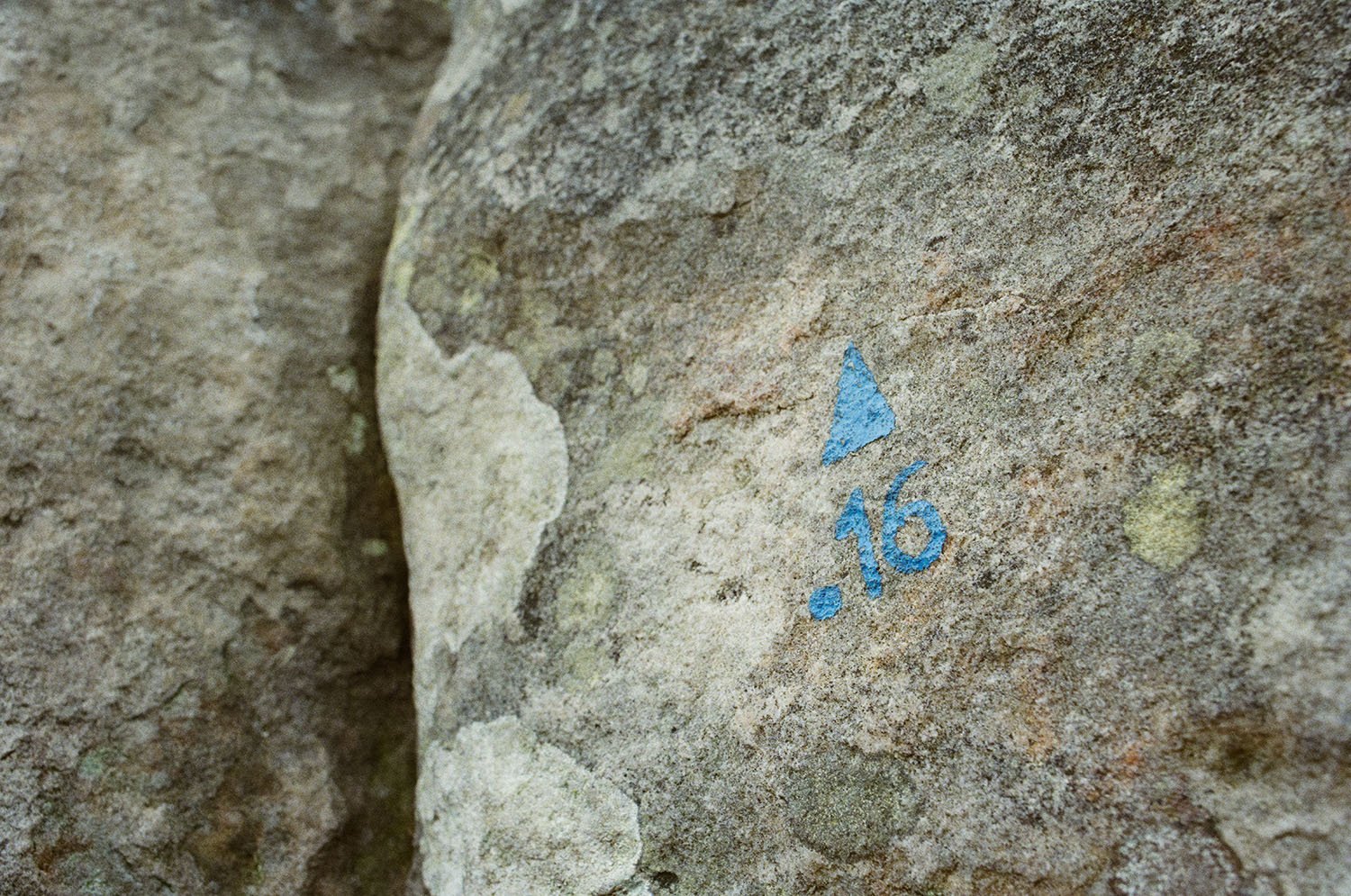 JA Martin Blue Circuit.jpg
